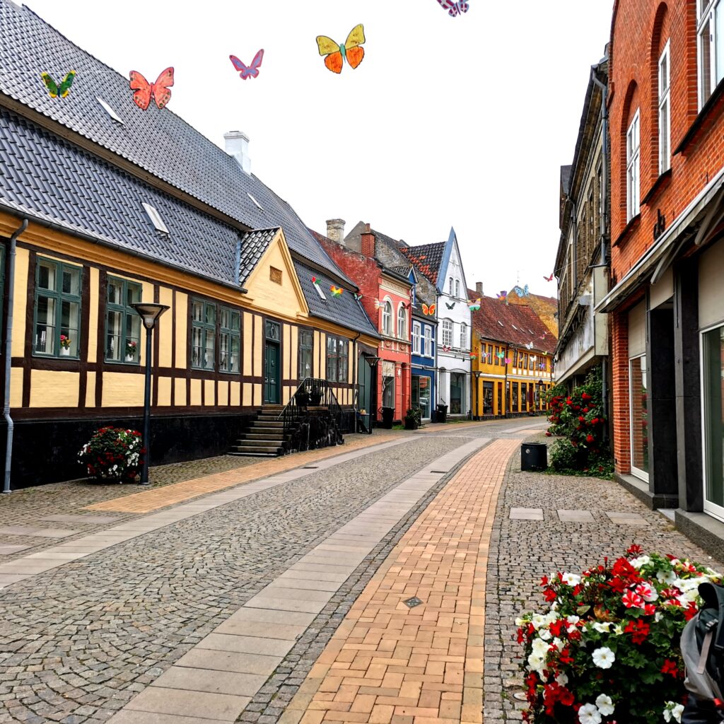 billede af Rudkøbing gågade med sommerfugle hængende over gaden